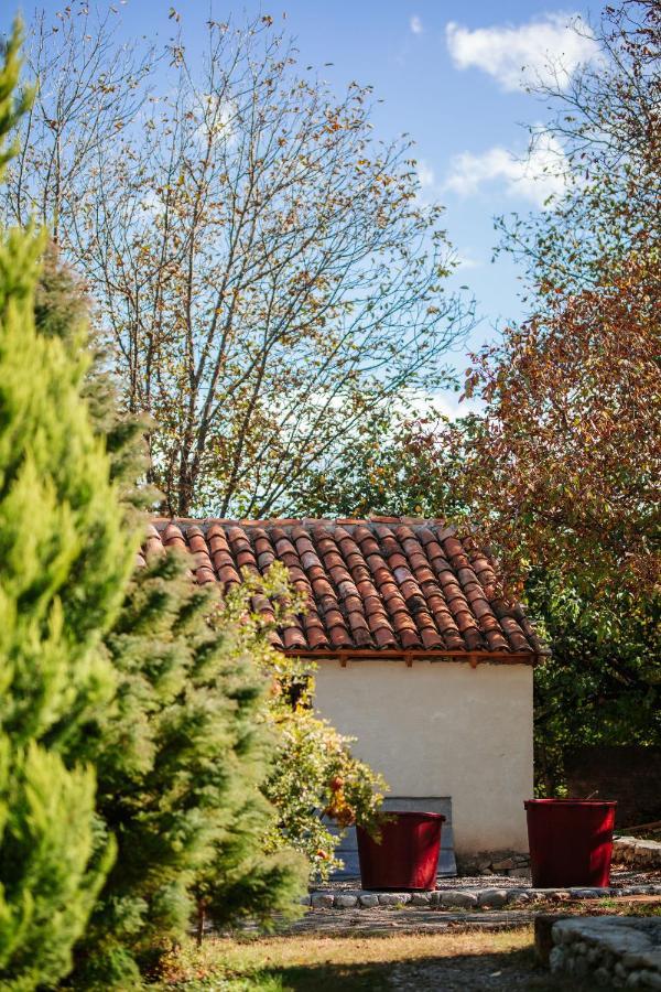 Hotel Casa Akacia Telavi Exteriér fotografie