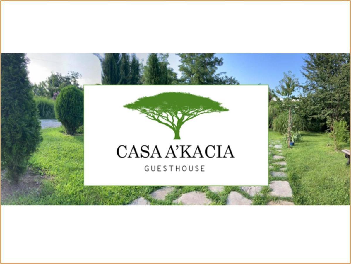 Hotel Casa Akacia Telavi Exteriér fotografie